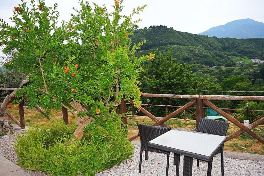B&B Fior Tramonti Exteriör bild
